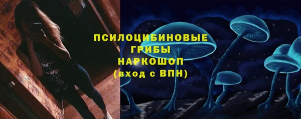 ешки Алексеевка