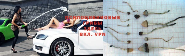 амф Абаза