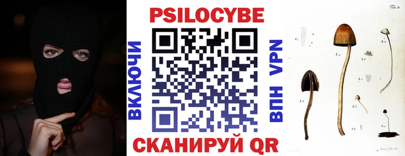 Псилоцибиновые грибы Cubensis  наркота  Балаково 