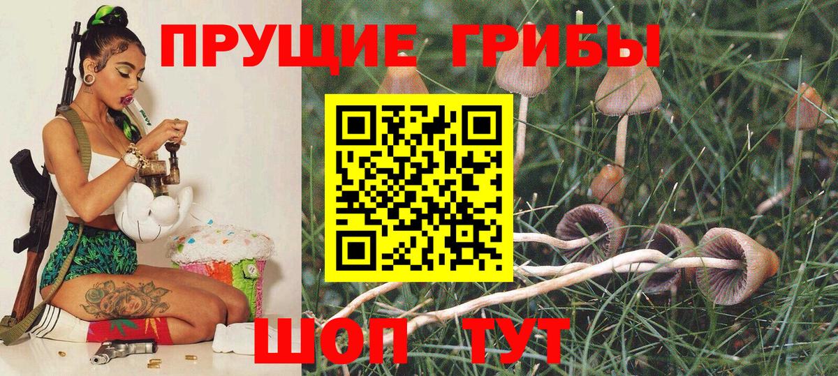 Галлюциногенные грибы ЛСД Балаково